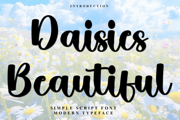 Daisies Beautiful Typeface Review