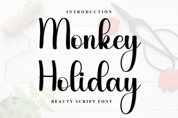 Monkey Holiday Font: A Web Designer’s Review