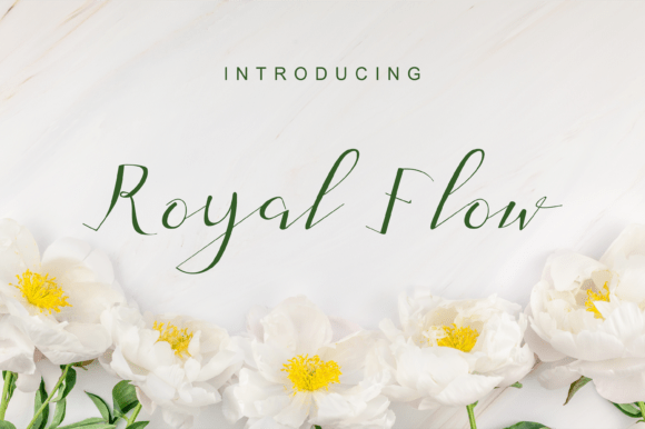 Royal Flow Font: Elevate Your Campaign Visuals