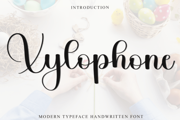 Xylophone Font: A Soft Script for Editorial Design